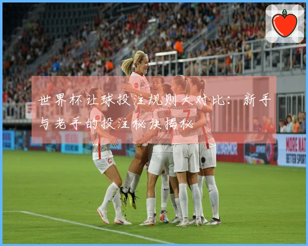 世界杯让球投注规则大对比：新手与老手的投注秘诀揭秘