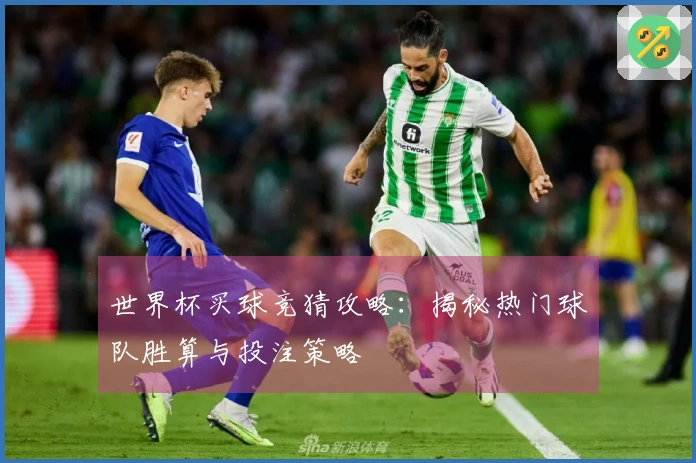 世界杯买球竞猜攻略:揭秘热门球队胜算与投注策略